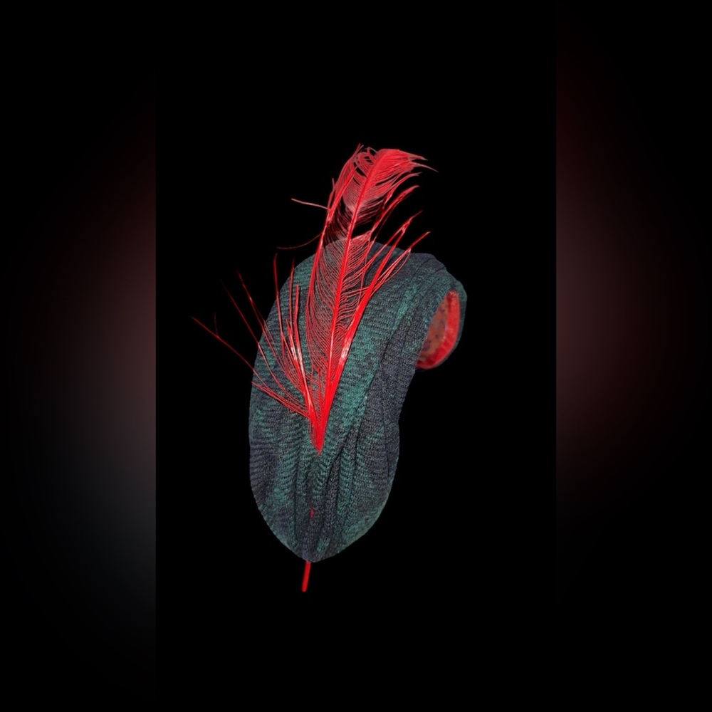 Vinatge Mid Centry T. Rubien Feather Hat